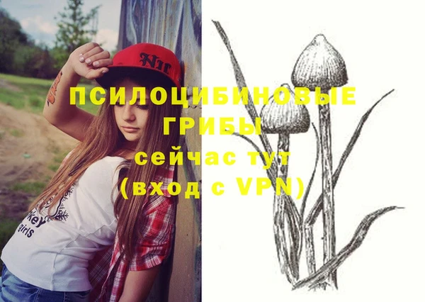 метамфетамин Алексин