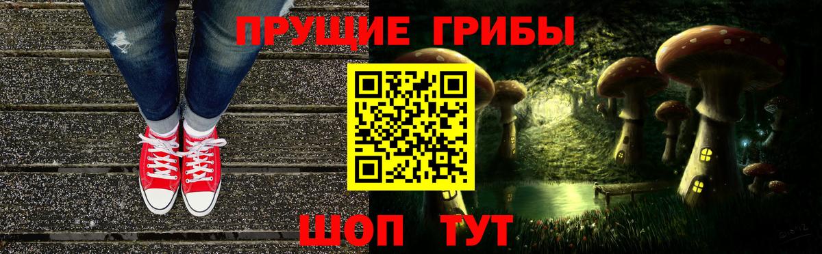 Галлюциногенные грибы прущие грибы  Вход с VPN  Миллерово  купить  цена  Галлюциногенные грибы GOLDEN TEACHER 